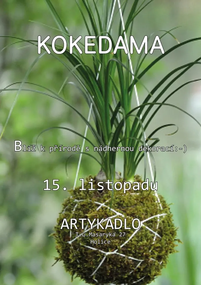 Plakát – Kokedama